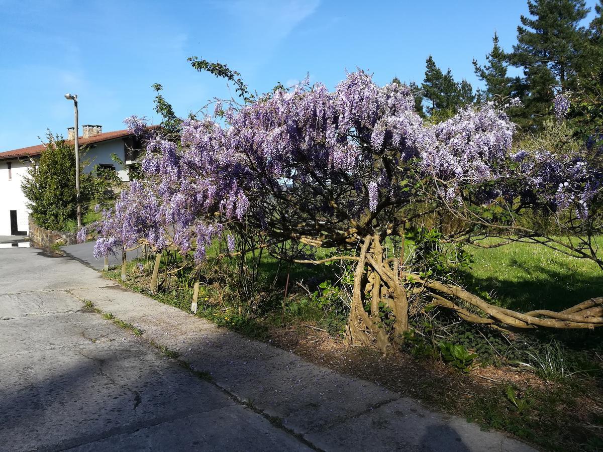 Casa Rural Miamendi Larrabetzu Dış mekan fotoğraf